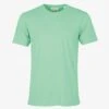 Colorful Standard Classic Organic Tee - Seafoam Green