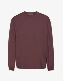 Colorful Standard Oversized Organic LS T-shirt - Dusty Plum