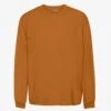 Colorful Standard Oversized Organic LS T-shirt - Ginger Brown