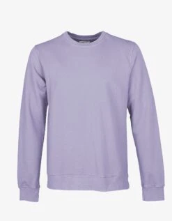 Colorful Standard Classic Organic Crew - Purple Jade