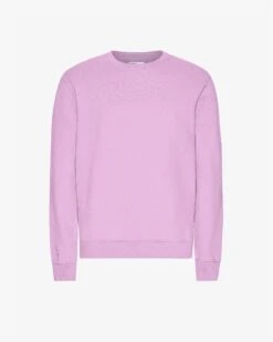 Colorful Standard Classic Organic Crew - Cherry Blossom