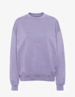 Colorful Standard Organic Oversized Crew - Purple Jade
