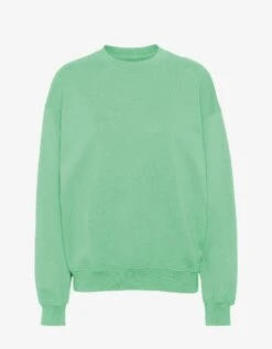 Colorful Standard Organic Oversized Crew - Seafoam Green