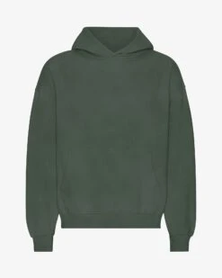 Colorful Standard Organic Oversized Hood - Midnight Forest
