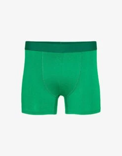 Colorful Standard Classic Organic Boxer Briefs - Kelly Green