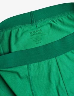 Colorful Standard Classic Organic Boxer Briefs - Kelly Green -Colorful Wear Shop Classic Organic Boxer Briefs Underwear CS7001 Kelly Green 4