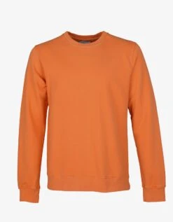 Colorful Standard Classic Organic Crew - Burned Orange