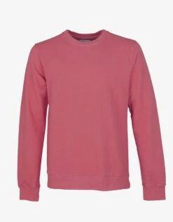 Colorful Standard Classic Organic Crew - Raspberry Pink