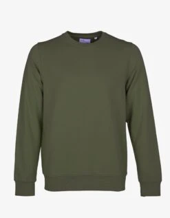 Colorful Standard Classic Organic Crew - Seaweed Green