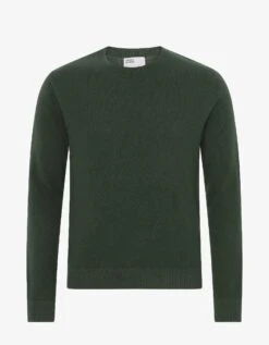 Colorful Standard Light Merino Wool Crew - Emerald Green
