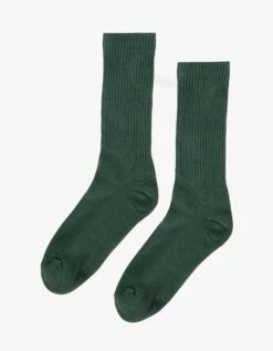 Colorful Standard Organic Active Sock - Emerald Green