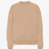 Colorful Standard Organic Oversized Crew - Honey Beige