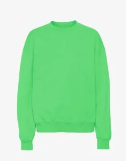 Colorful Standard Organic Oversized Crew - Spring Green