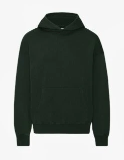Colorful Standard Organic Oversized Hood - Hunter Green
