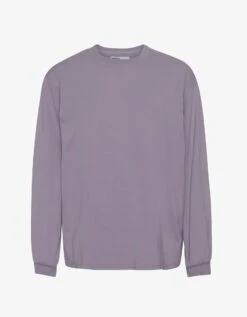 Colorful Standard Oversized Organic LS T-shirt - Purple Haze